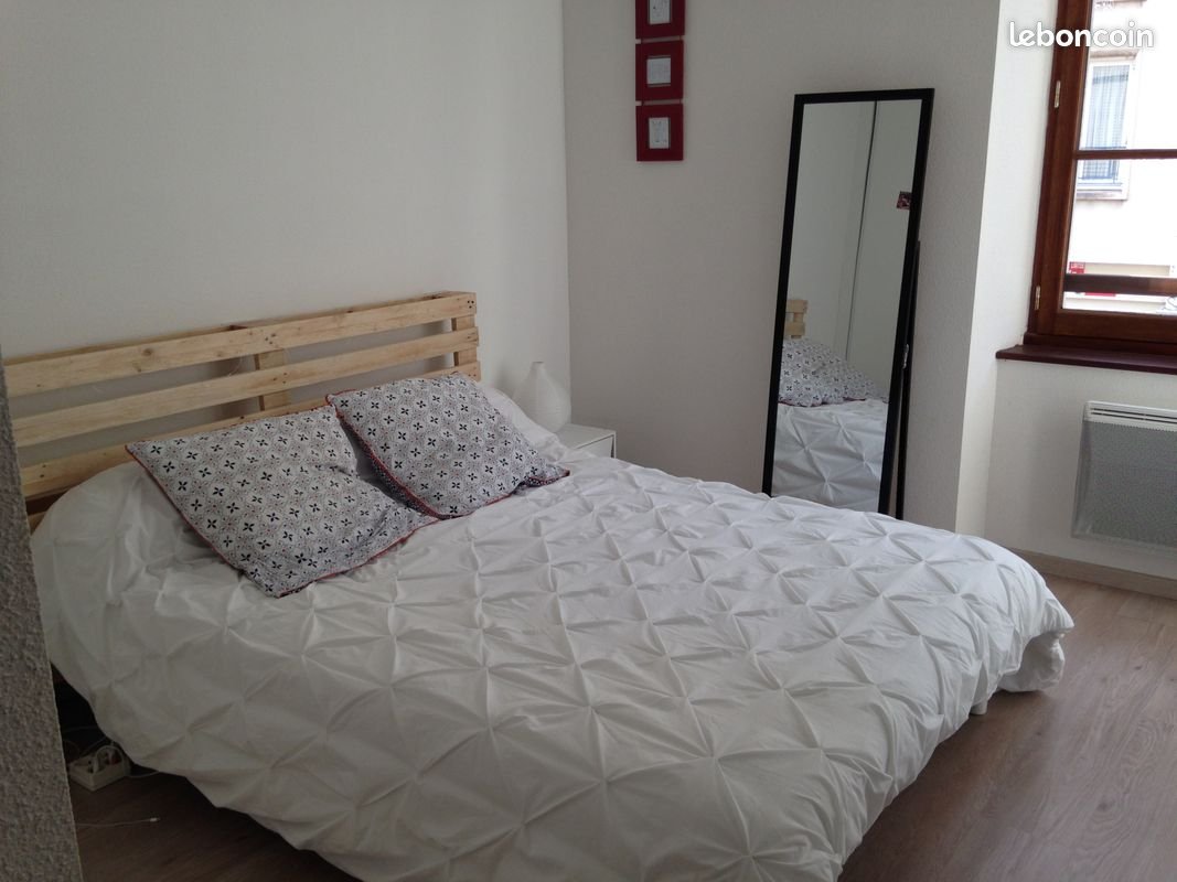 Appartement à louer, 55m², Roanne