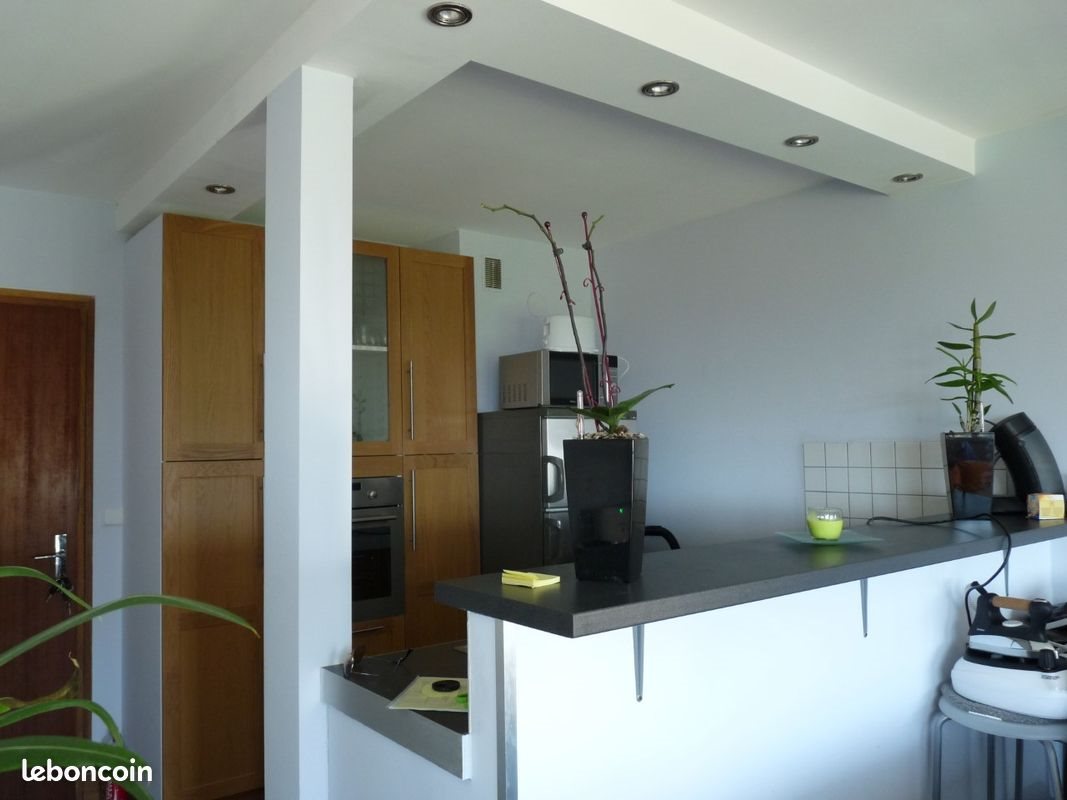 Appartement à louer, 36m², Gex