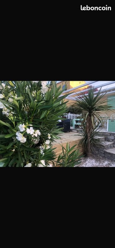 Maison à louer, 70m², Mèze