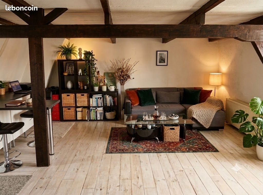 Appartement à louer, 50m², Lille
