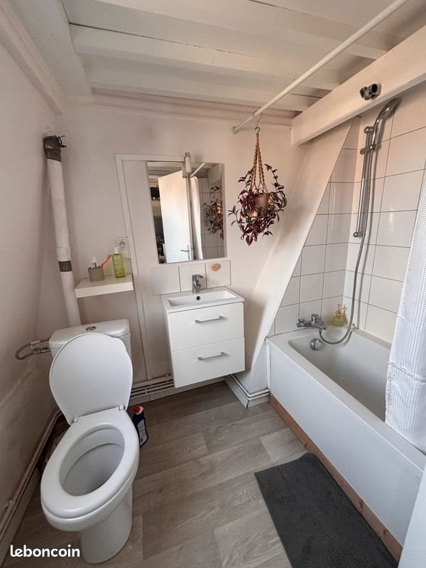 Appartement à louer, 50m², Lille