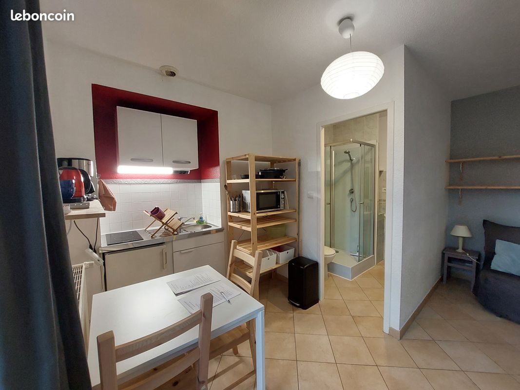 Appartement à louer, 15m², Billiat