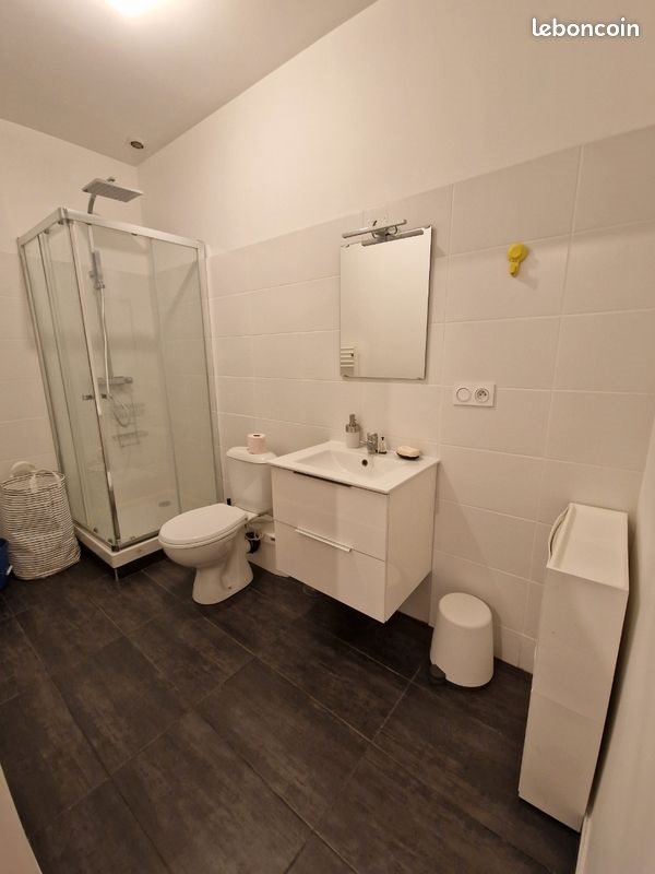 Appartement à louer, 40m², Saint-Etienne