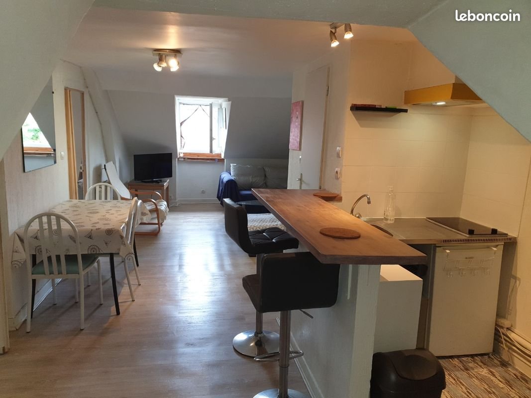 Appartement à louer, 35m², Pau