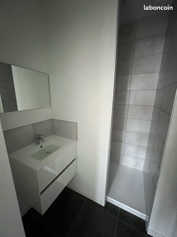 Appartement à louer, 45m², Nancy