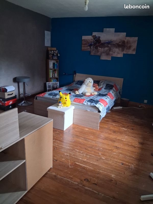 Maison à vendre, 190m², Moissannes