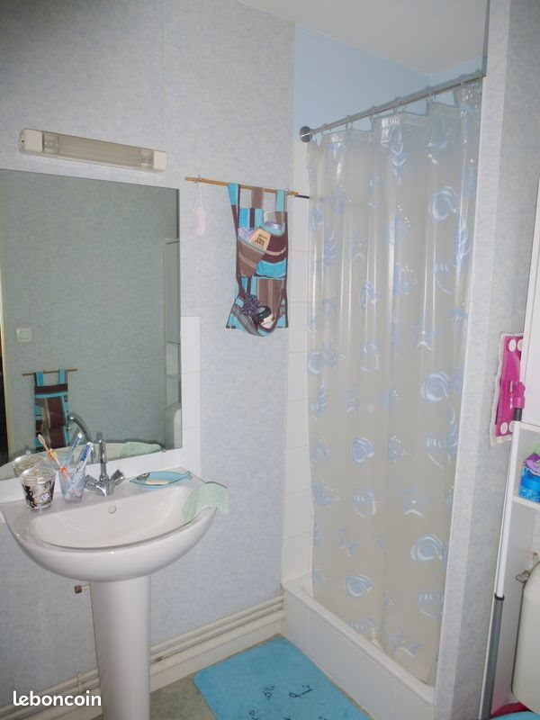 Appartement à louer, 20m², Angers