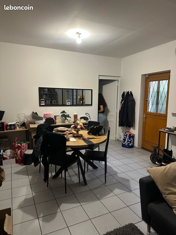 Appartement à louer, 52m², Villeurbanne