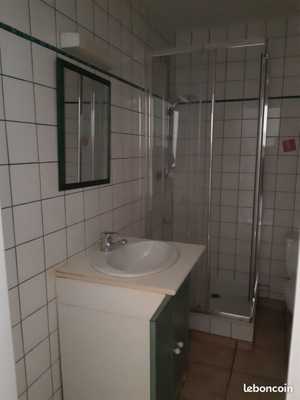 Appartement à louer, 24m², Nancy