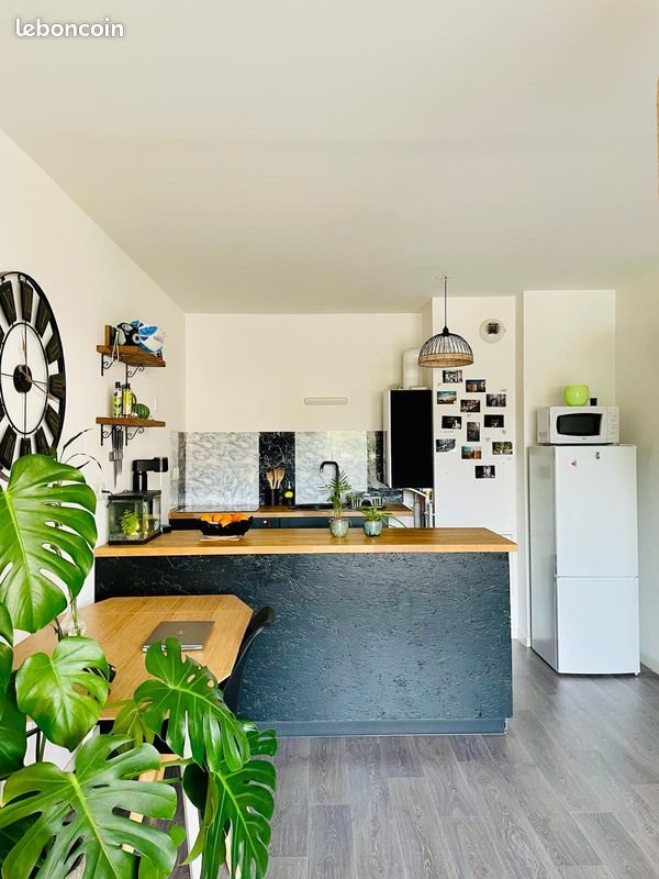 Appartement à louer, 44m², Tourcoing