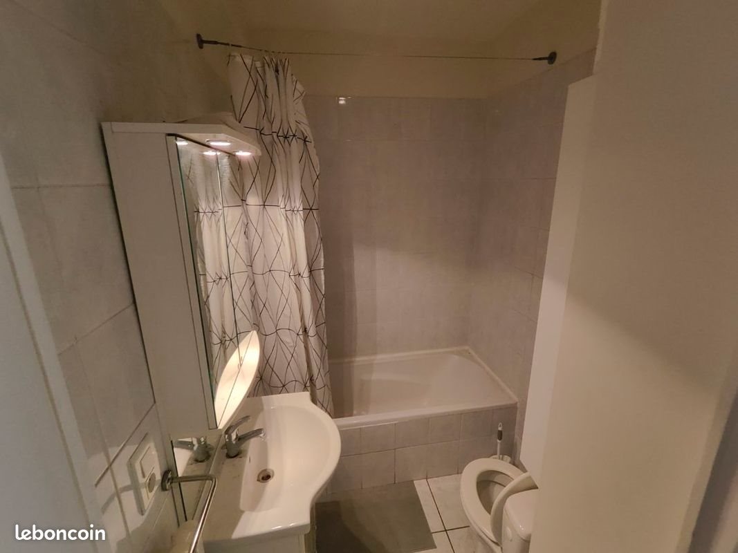 Appartement à louer, 40m², Saint-Étienne