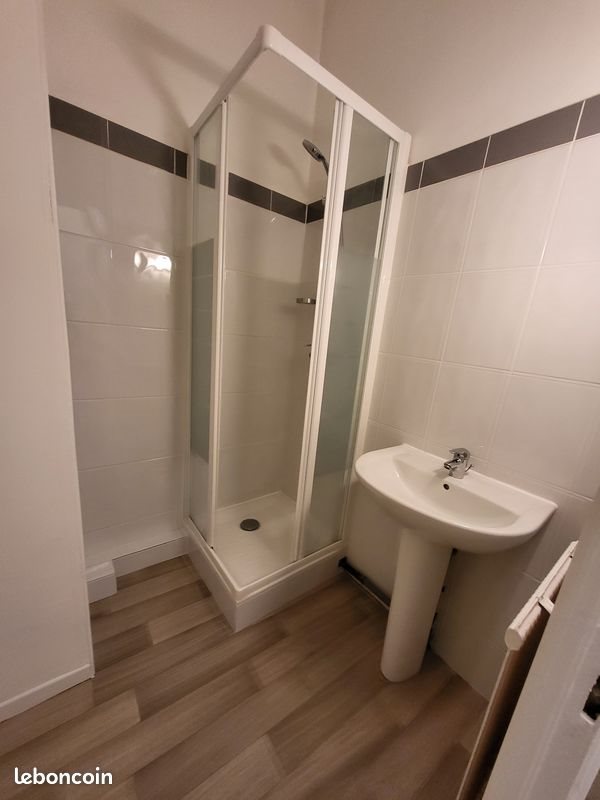 Appartement à louer, 55m², Saint-Étienne