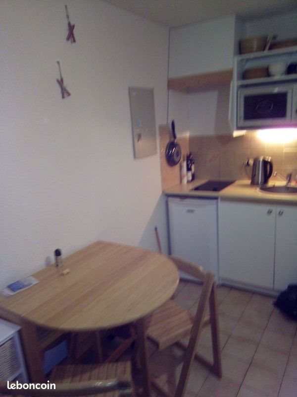 Appartement à vendre, 18m², Thollon-les-Mémises