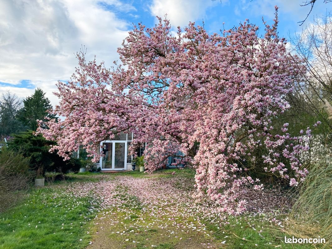 Maison à vendre, 105m², Bellerive-sur-Allier