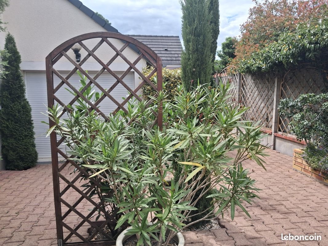Appartement à louer, 16m², Bourges