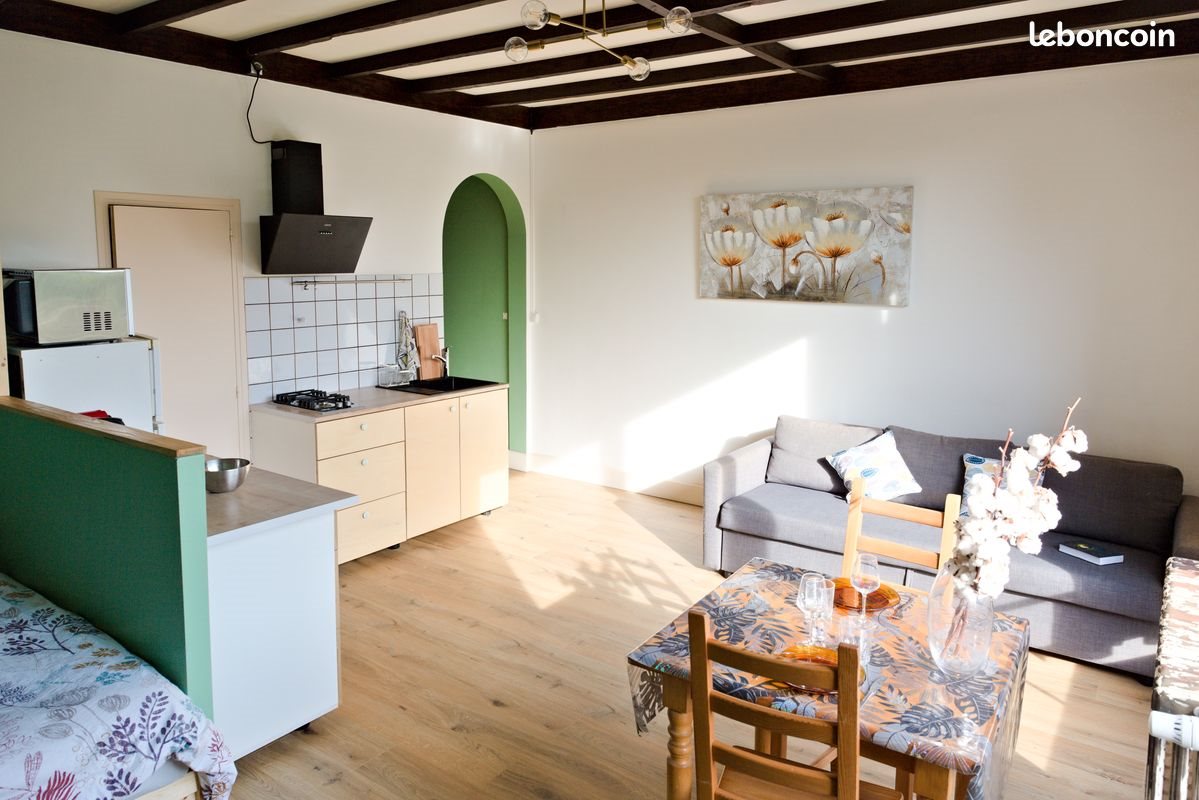 Appartement à louer, 41m², Roubaix