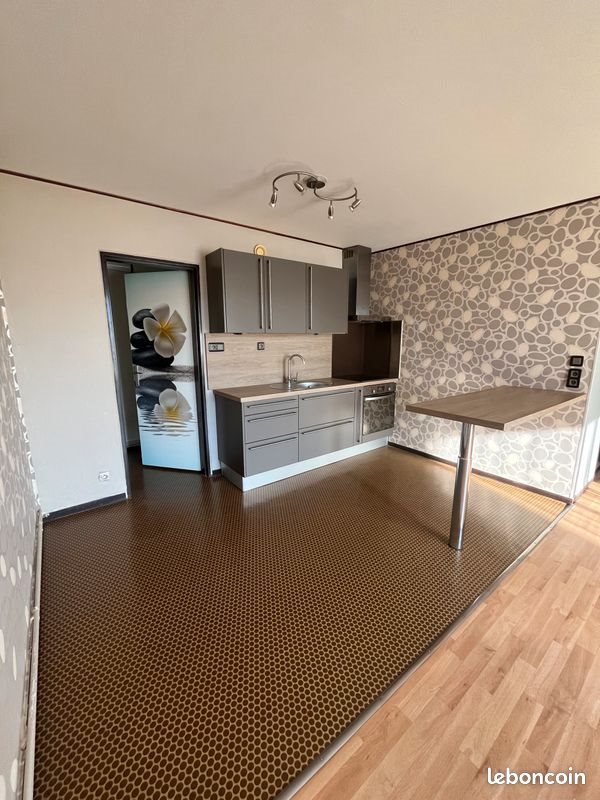 Appartement à louer, 49m², Tourcoing