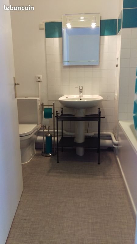 Appartement à louer, 32m², Villeurbanne