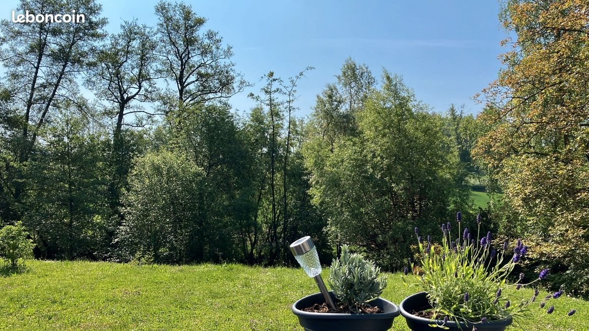 Appartement à vendre, 121m², Hagenthal-le-Bas