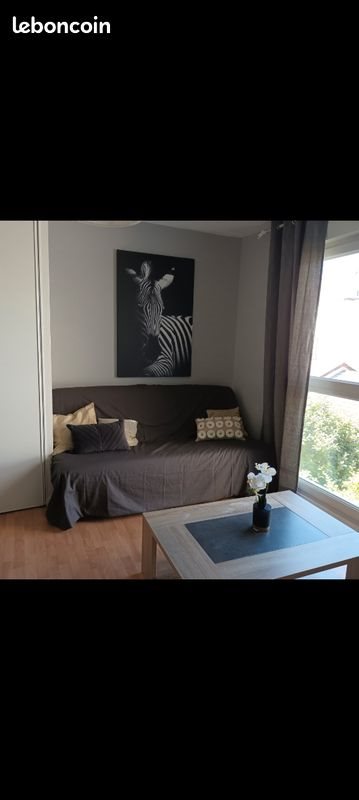 Appartement à louer, 38m², Villeurbanne