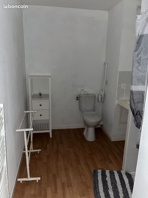 Appartement à louer, 38m², Villeurbanne