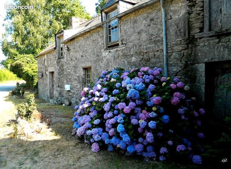 Maison à vendre, 60m², Corseul