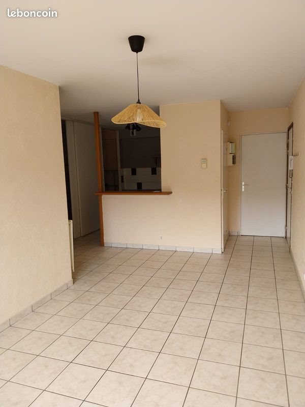 Appartement à louer, 40m², Saint-Étienne