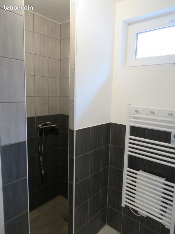 Appartement à louer, 23m², Roanne