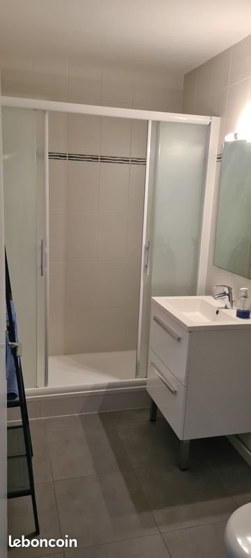 Appartement à louer, 30m², Fleury-les-Aubrais