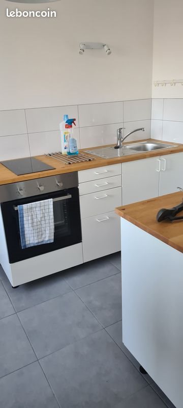 Appartement à louer, 30m², Fleury-les-Aubrais