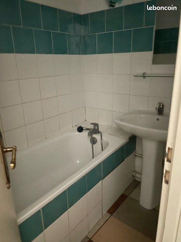Appartement à louer, 50m², Lyon 7ème