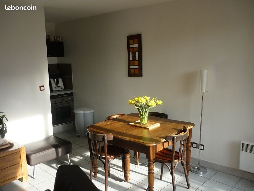 Appartement à louer, 51m², Lyon 8ème