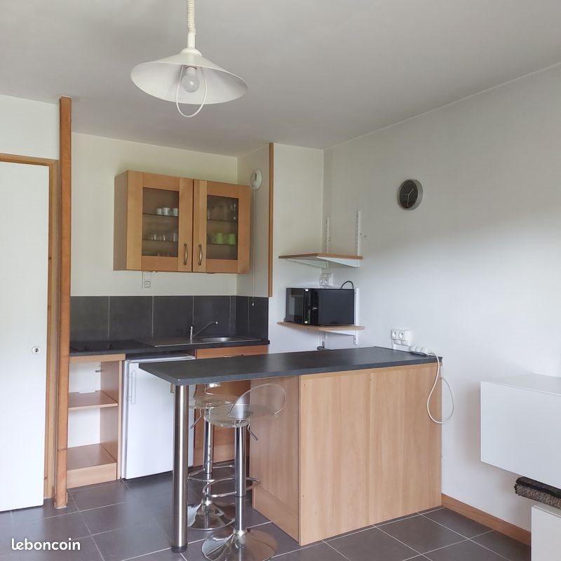 Appartement à louer, 22m², Albertville