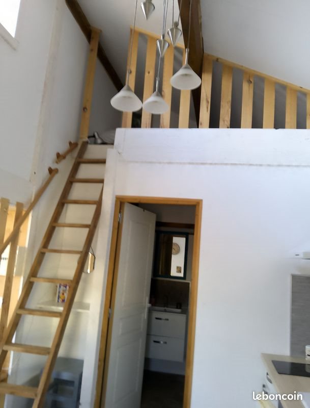 Appartement à louer, 23m², Millau