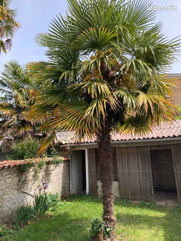 Maison à louer, 141m², Niort