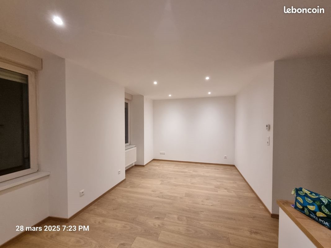 Appartement à louer, 54m², Belfort