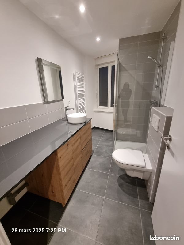 Appartement à louer, 54m², Belfort