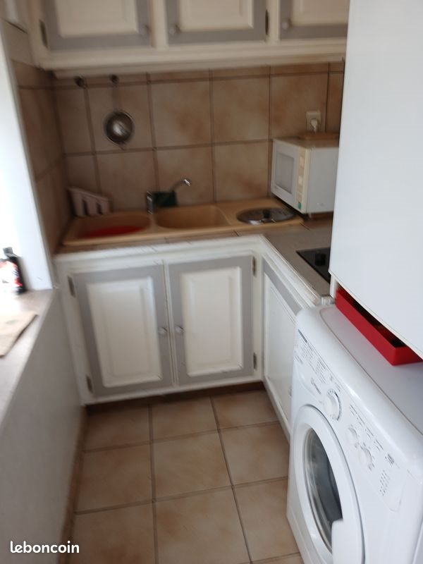 Appartement à louer, 40m², Cours-la-Ville
