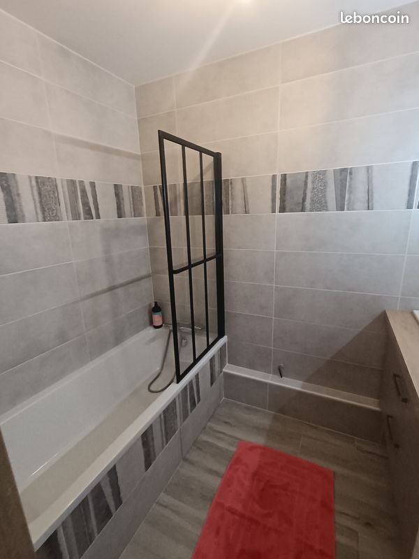 Appartement à louer, 47m², Villeurbanne
