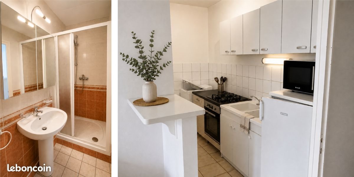 Appartement à louer, 37m², Saint-Etienne