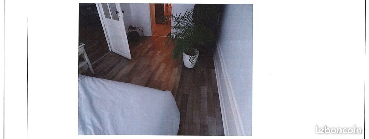 Appartement à louer, 38m², Saint-Etienne