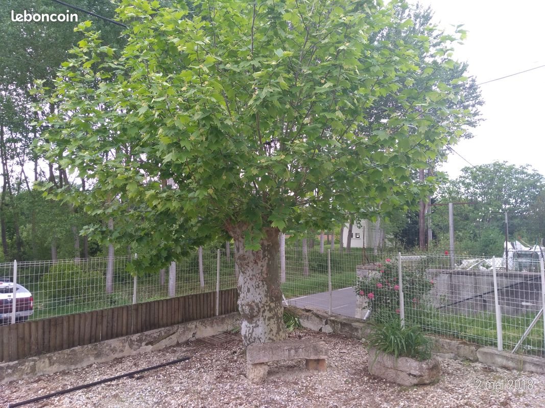 Maison à vendre, 100m², Sainte-Croix-du-Mont