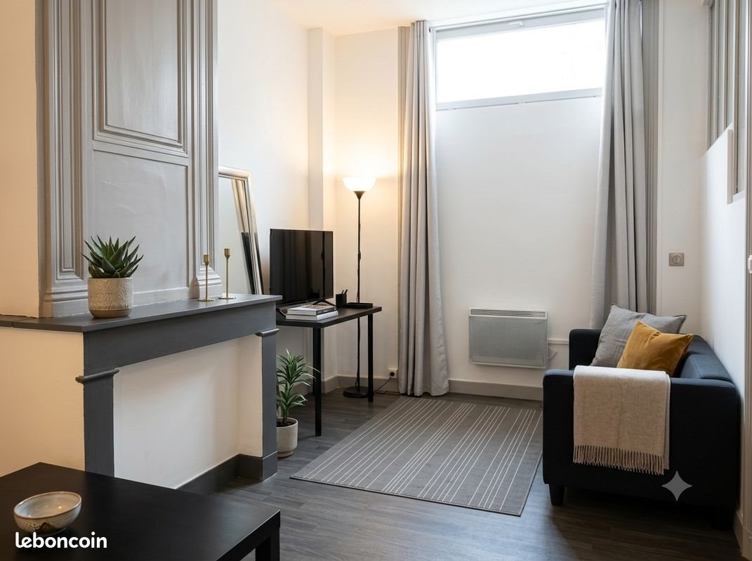 Appartement à louer, 32m², Saint-Etienne