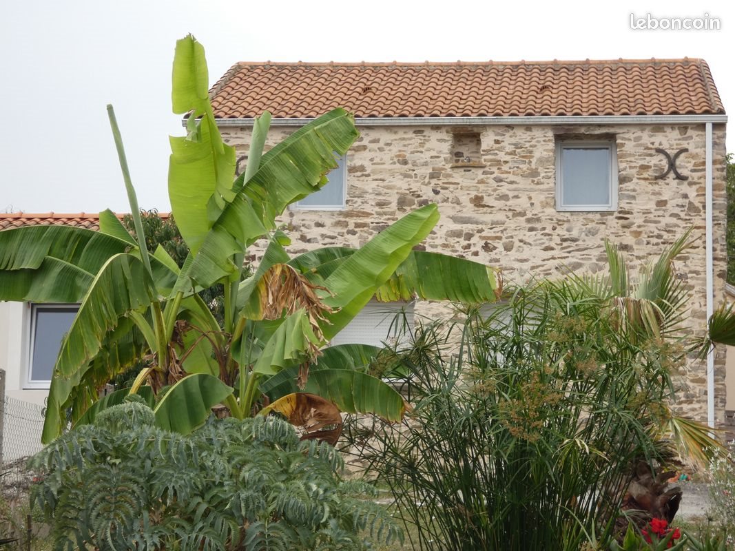 Maison à vendre, 114m², Rouans