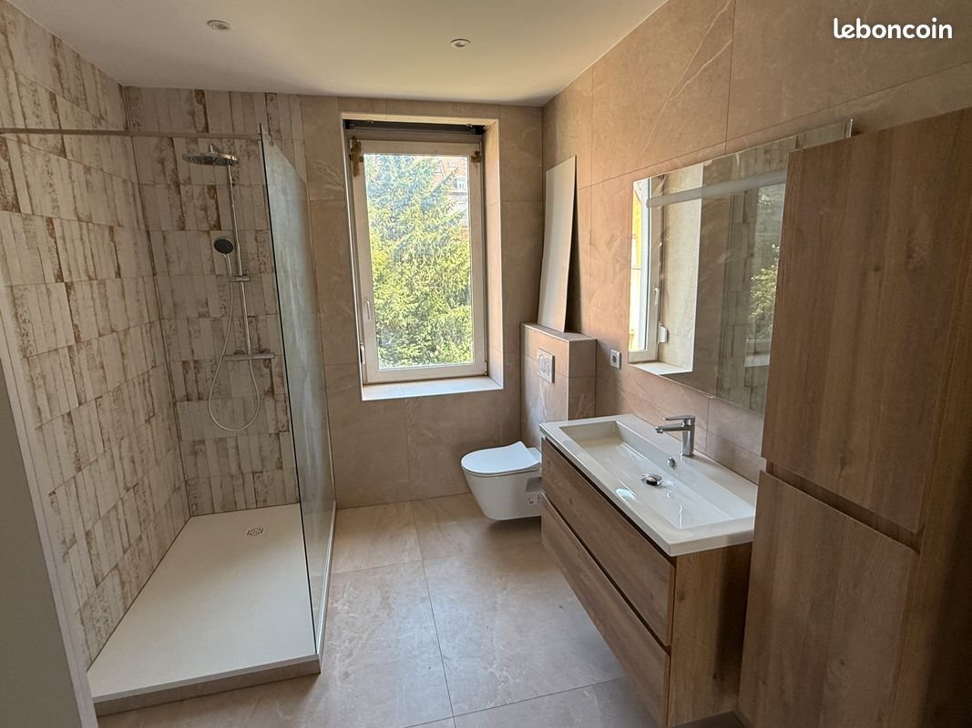 Appartement à louer, 49m², Mulhouse