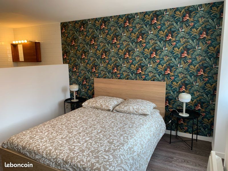Appartement à louer, 53m², Saint-Etienne