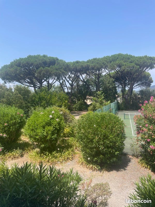 Appartement à louer, 32m², Saint-Tropez