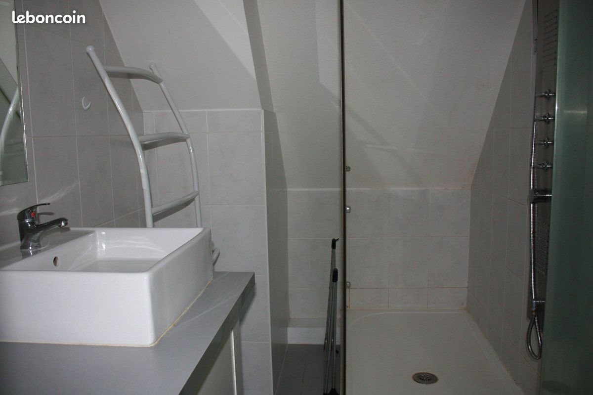 Appartement à louer, 46m², Erstein