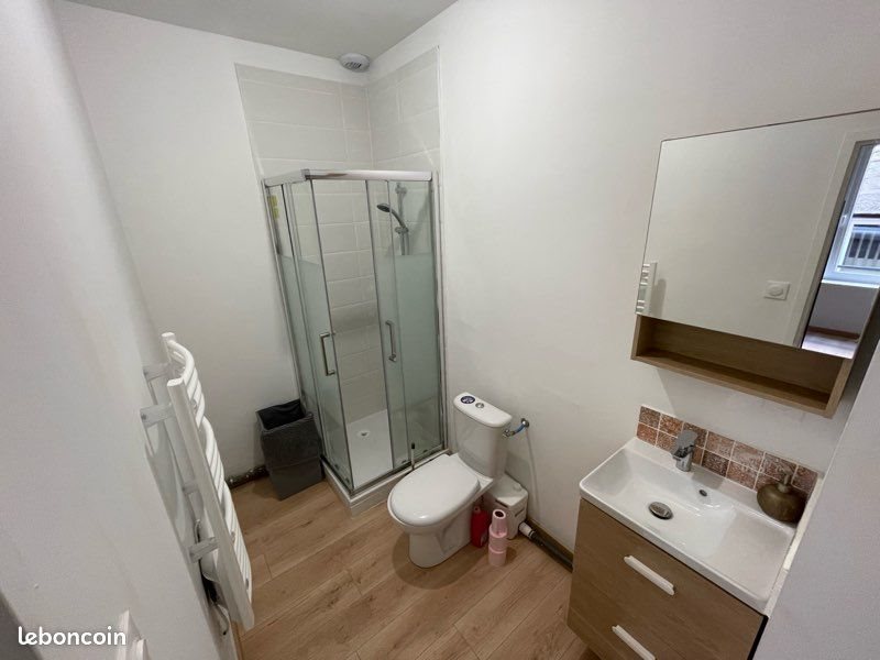 Appartement à louer, 23m², Saint-Etienne