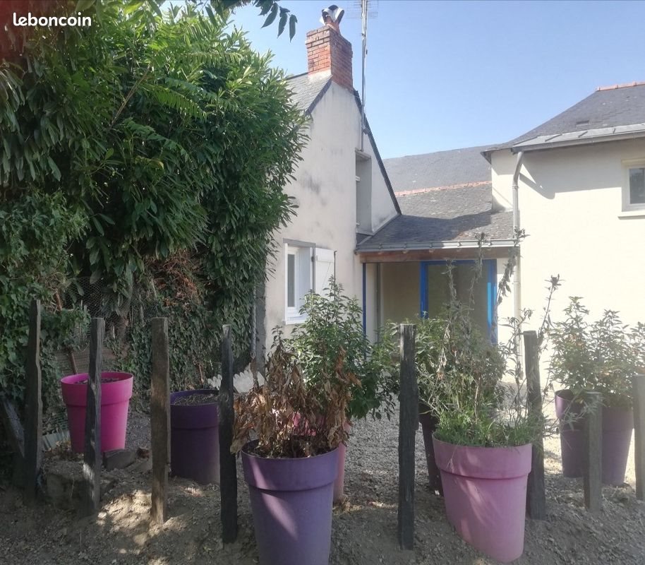 Maison à louer, 62m², Mûrs-Erigné